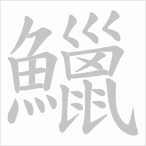 鱲