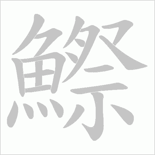 鰶
