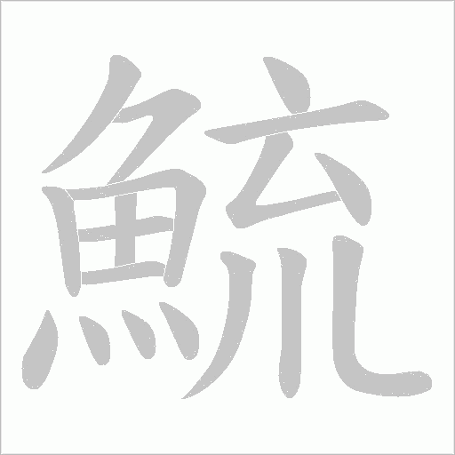 鯍