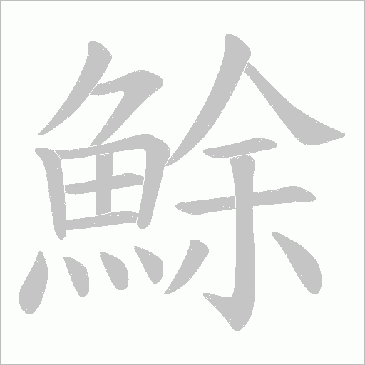 鮽