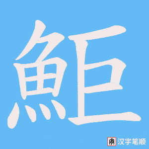 鮔