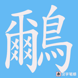 鸍