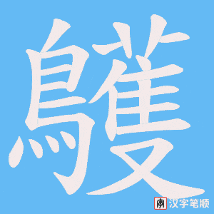 鸌