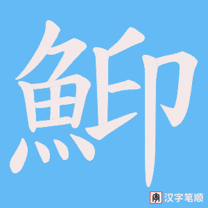 鮣