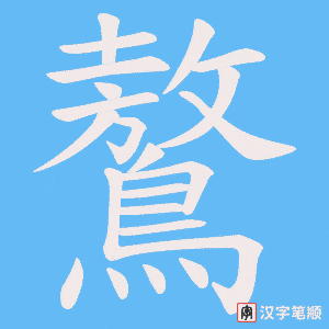 鷔