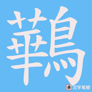 鷨