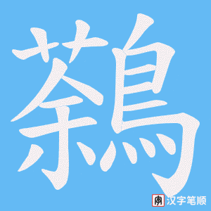 鷋