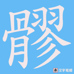 髎
