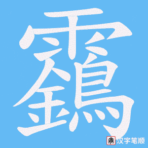 靎