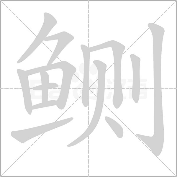 鲗