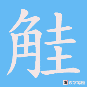 觟