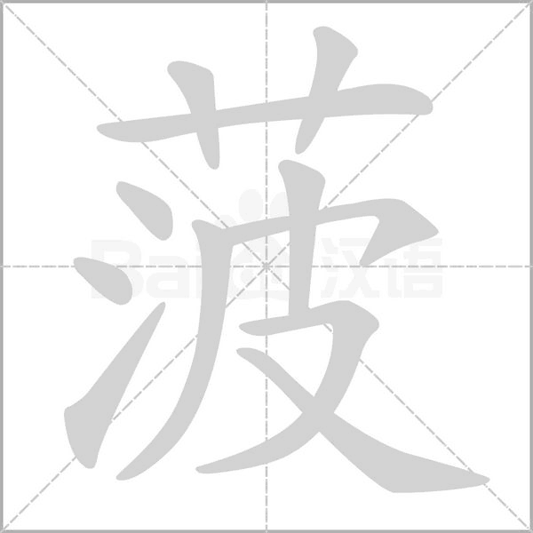菠