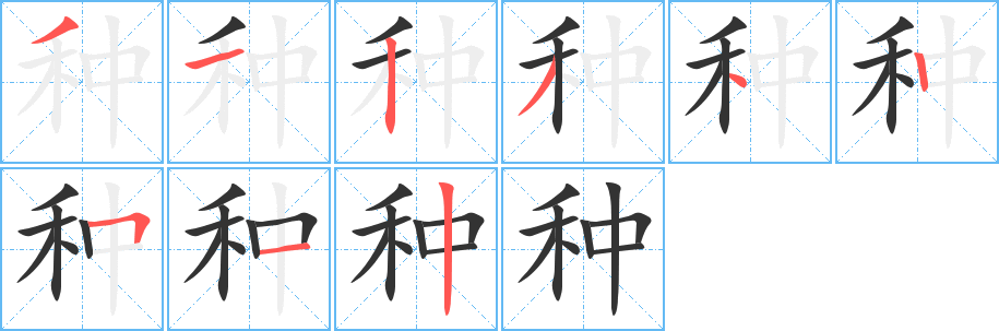 种