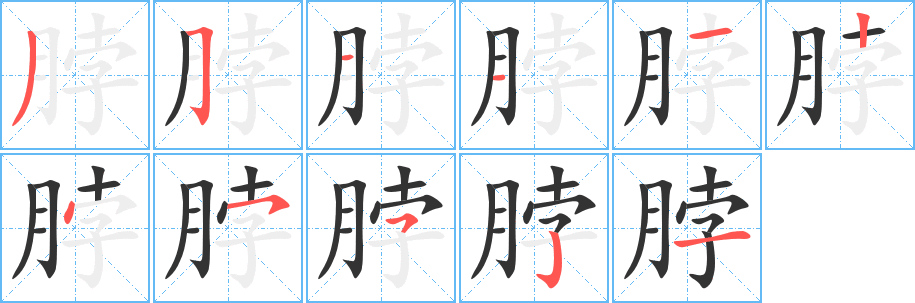 脖