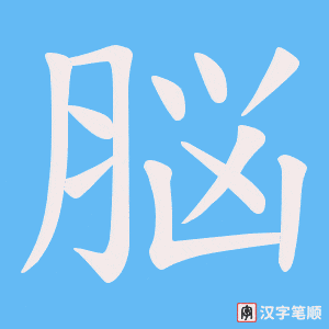 脳