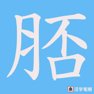 脴