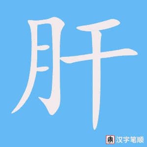 肝