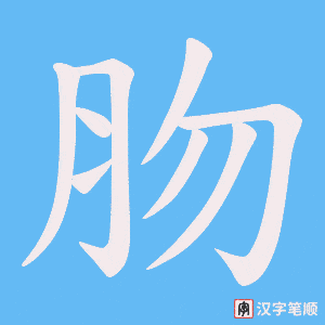 肳