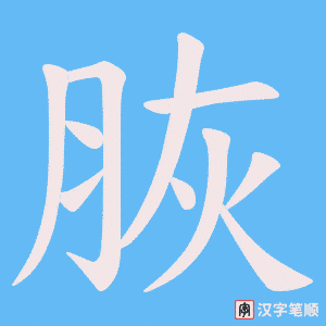脄