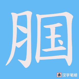 腘