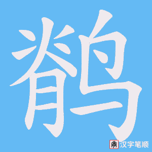 鹡