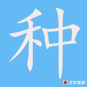种