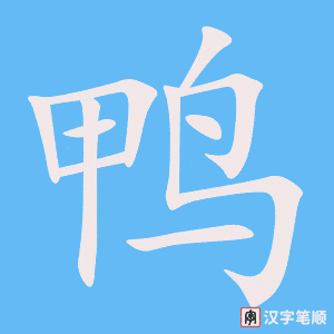 鸭