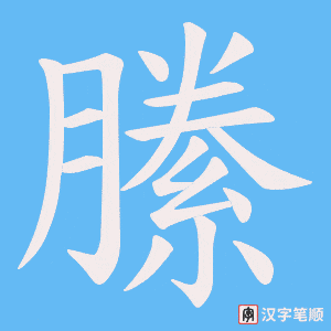 縢