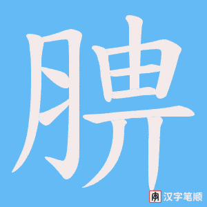 腗
