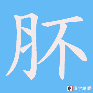 肧