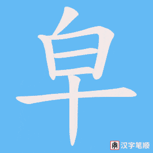 皁