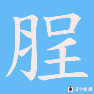 脭