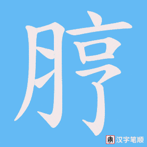 脝