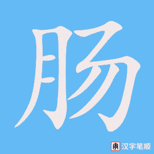 肠