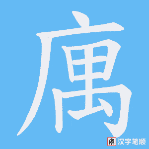 庽